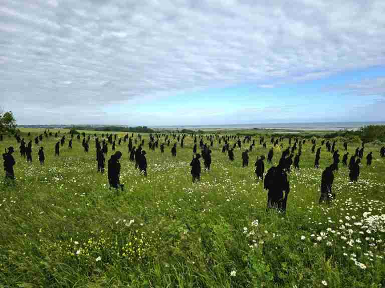 Normandy Field 3